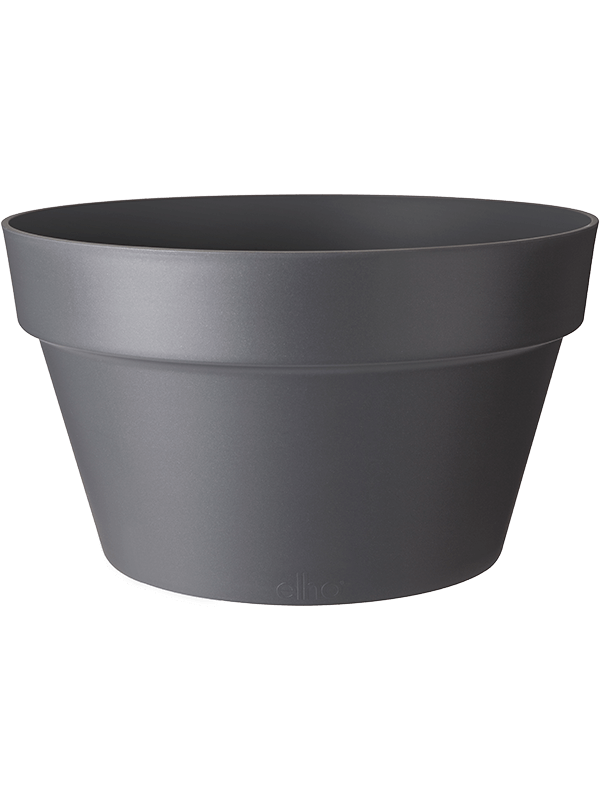 12955