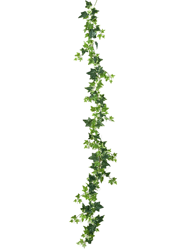 17956