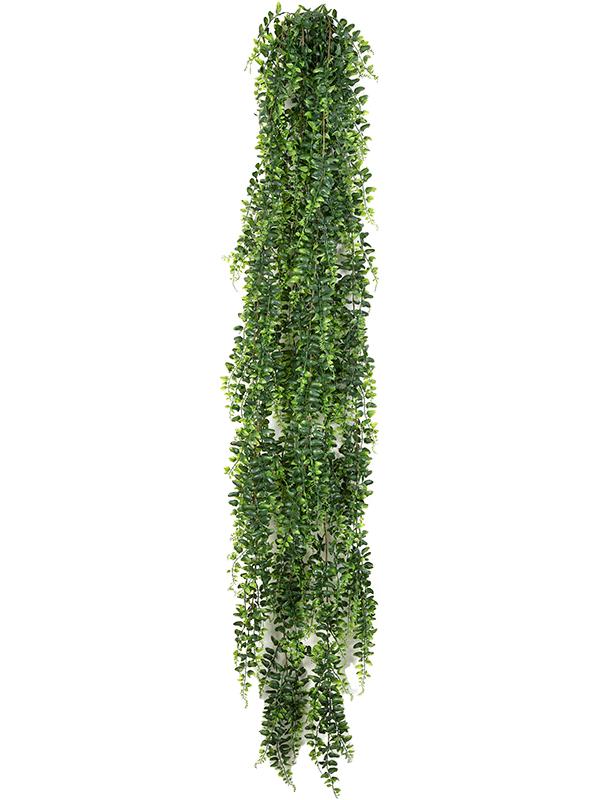 18148