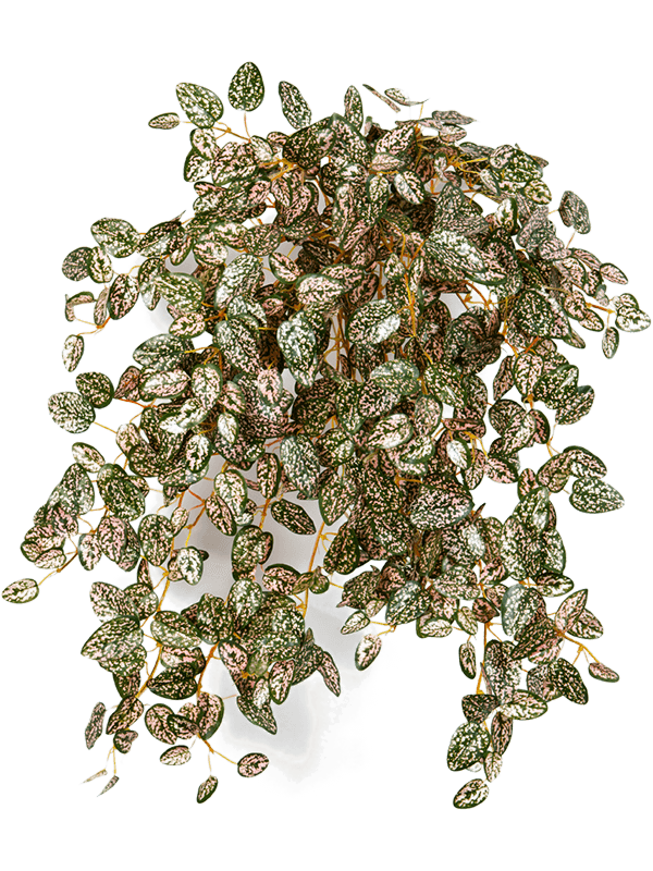 18152