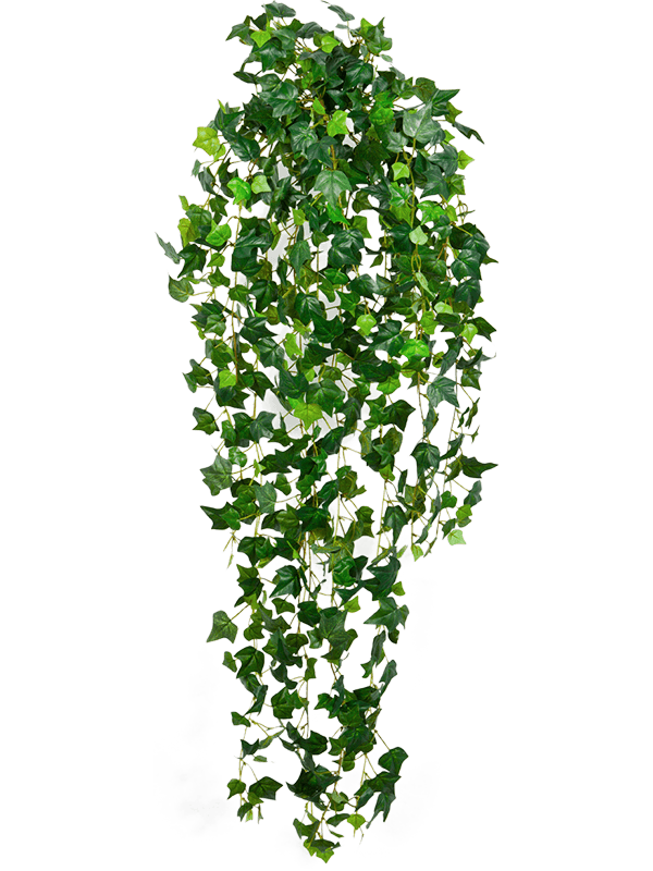 18161