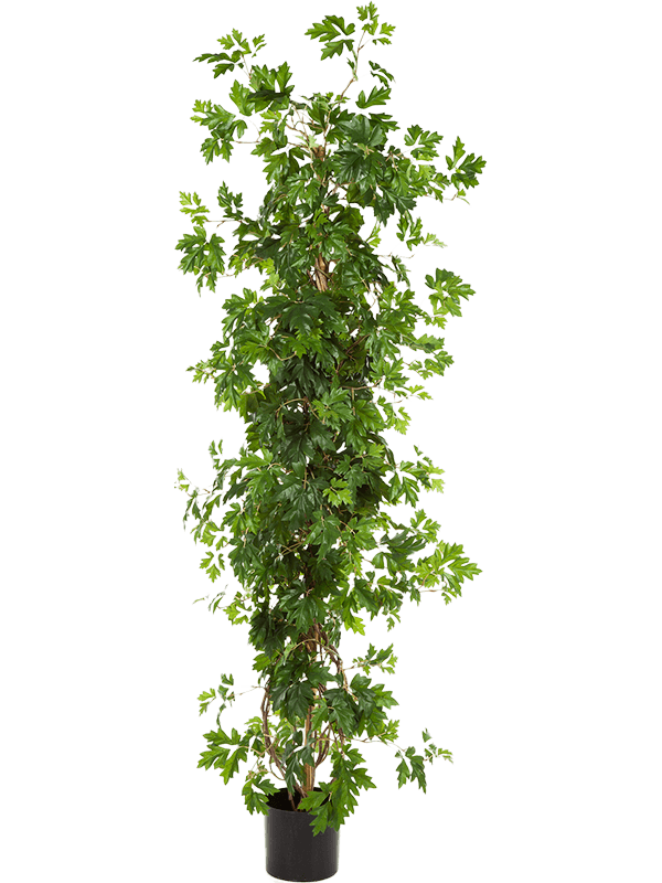18367