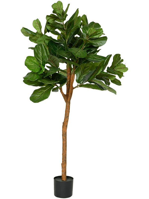18504