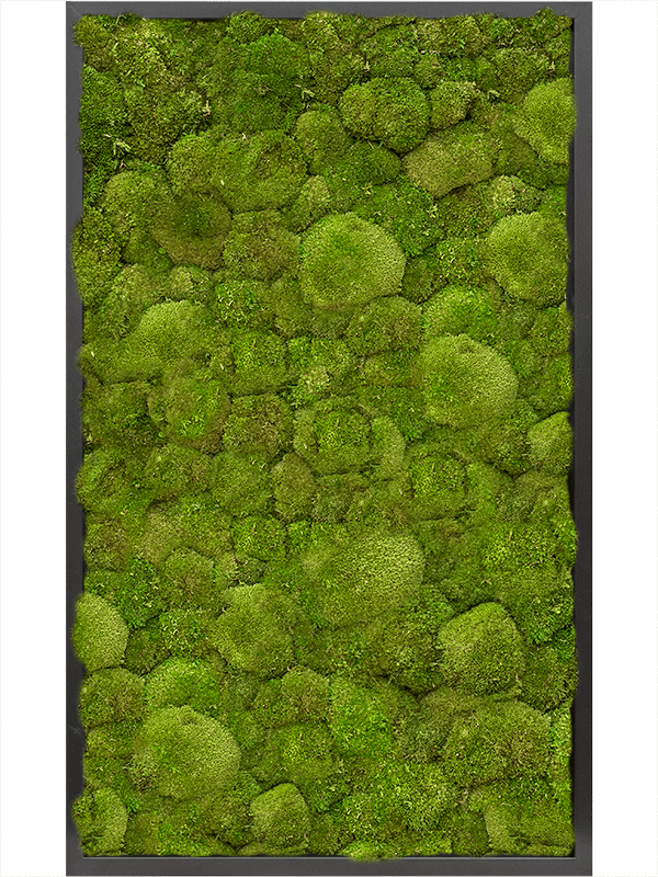 17434