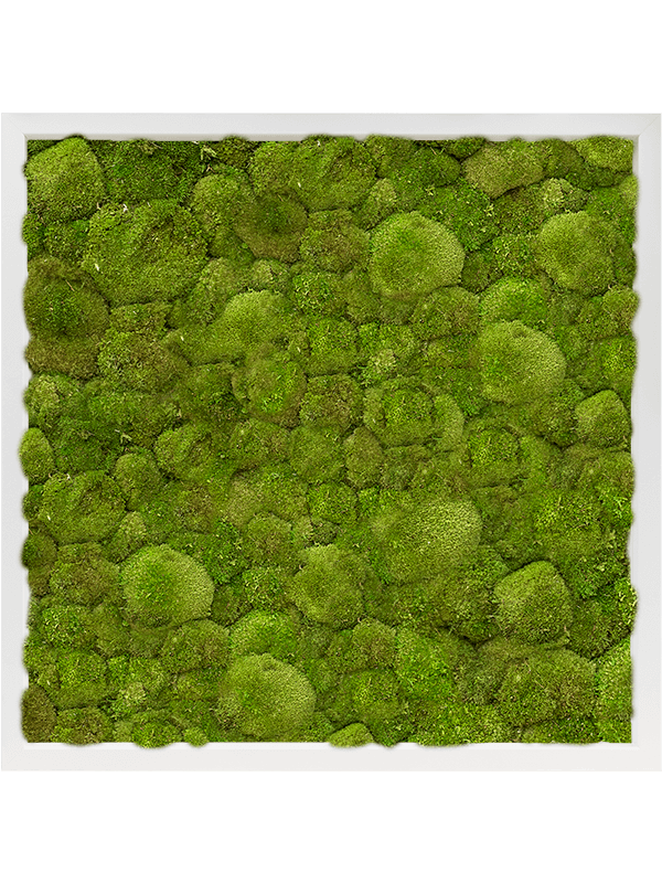 17446
