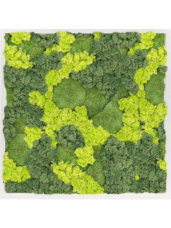 17469