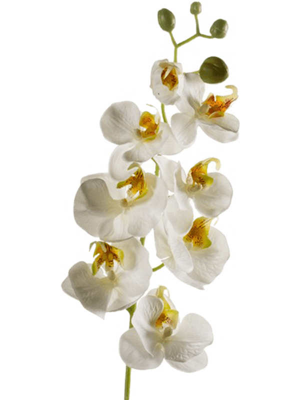 30404