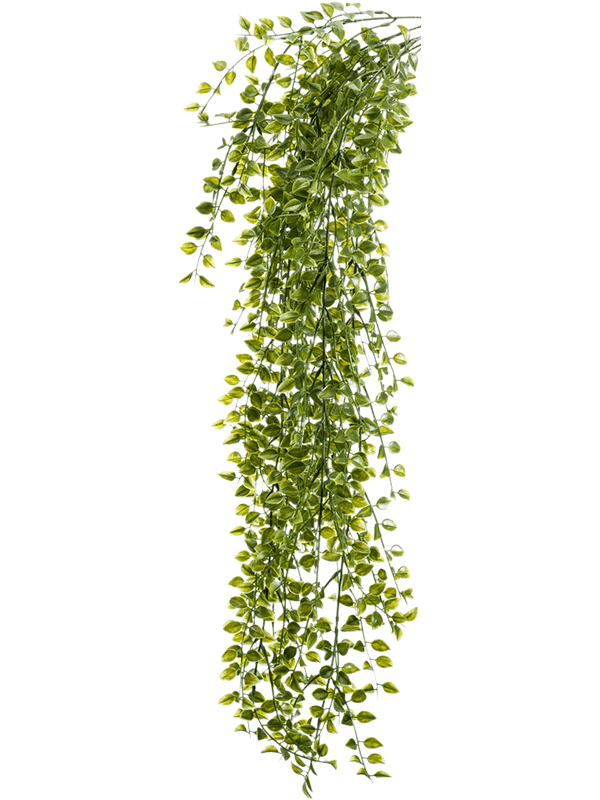 30045