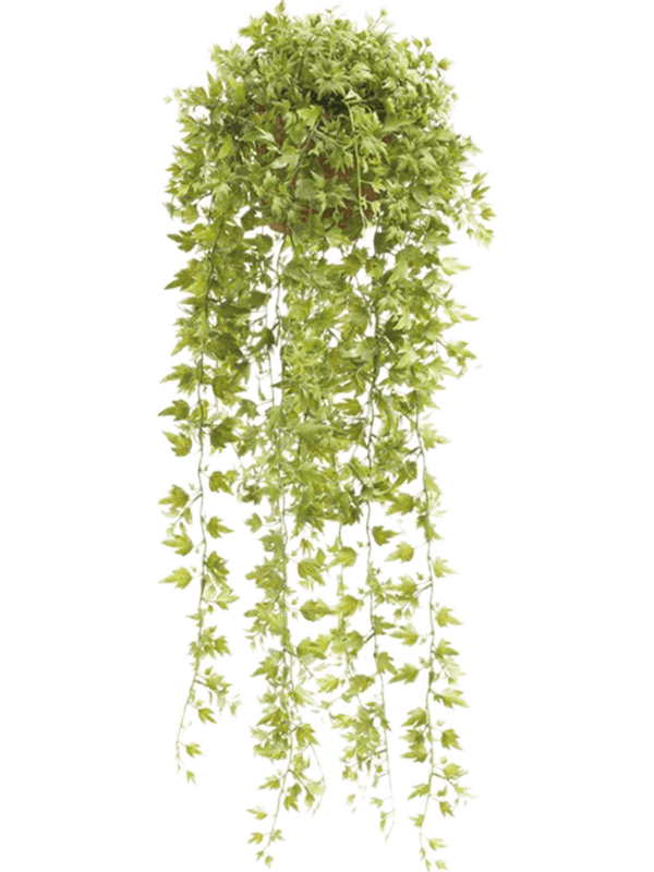 31108