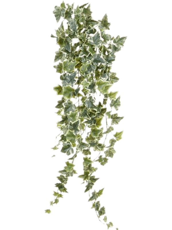 30604