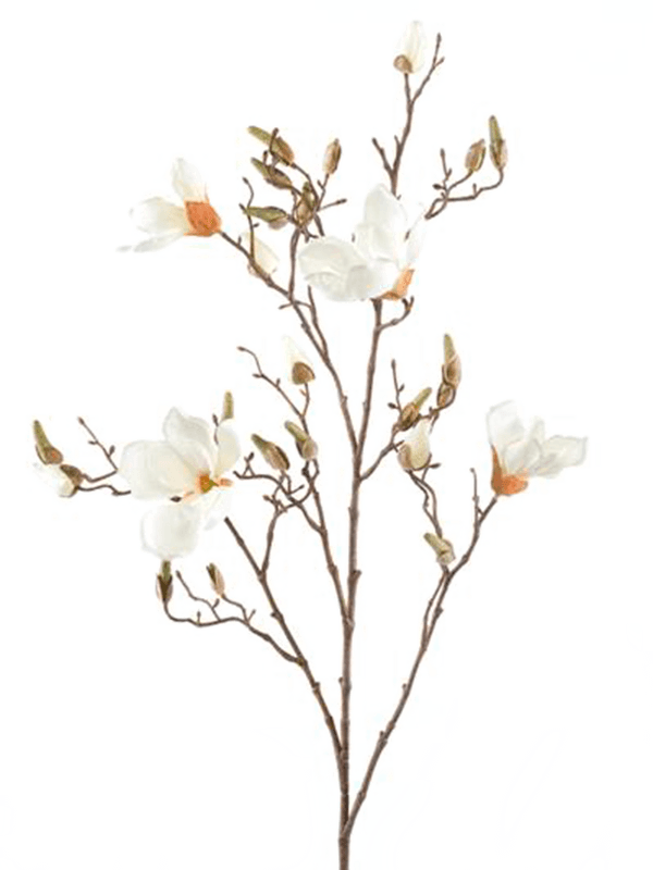 30364