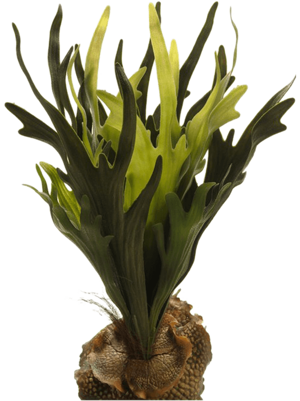 30567