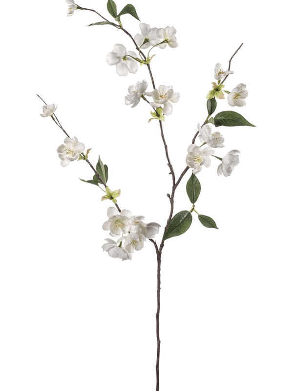 41108