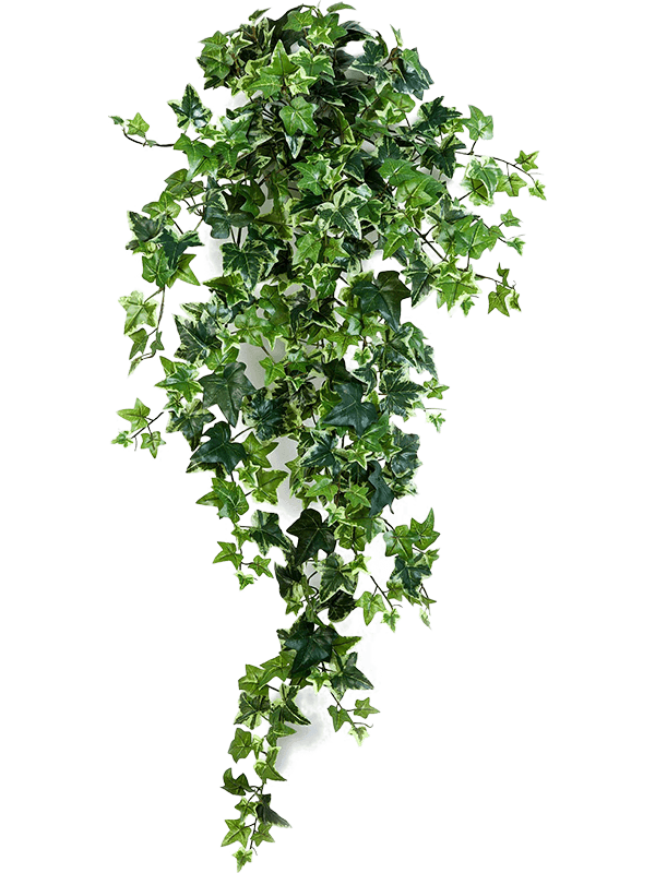 41182