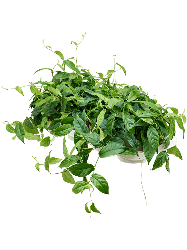 61020