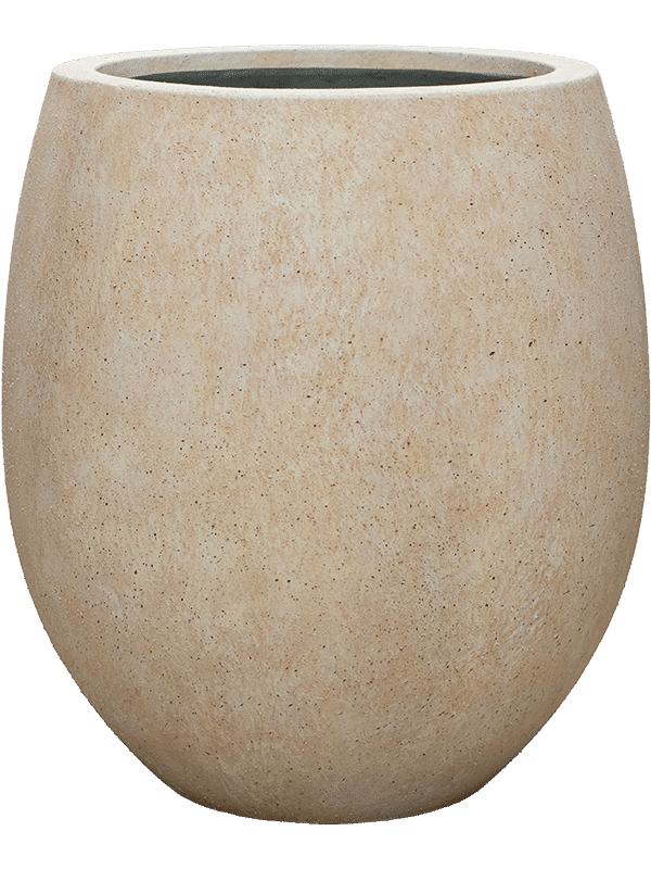 82543