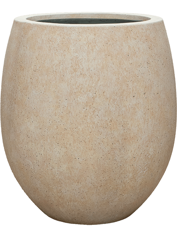 82544