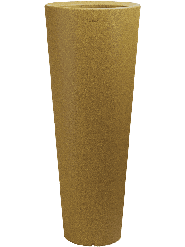 61675