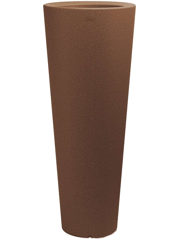 61676