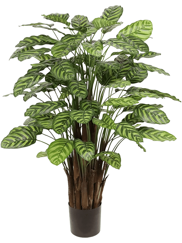 70505