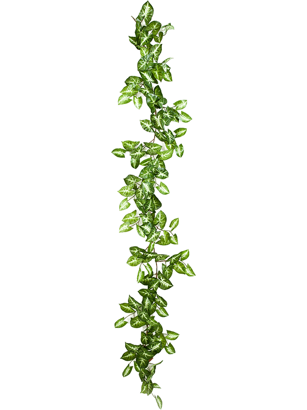 69376