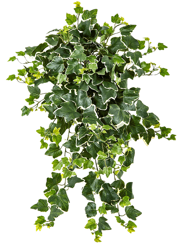 61655