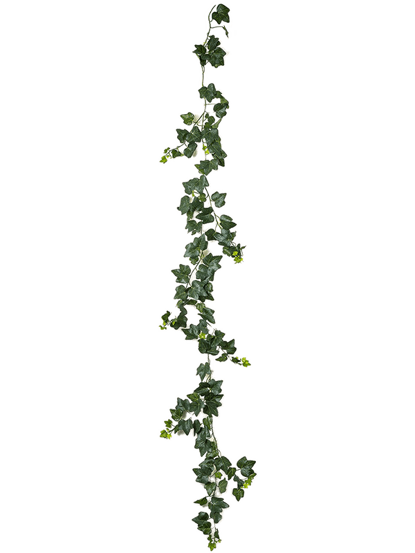 61706