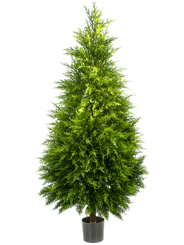 60506