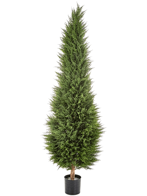 60508