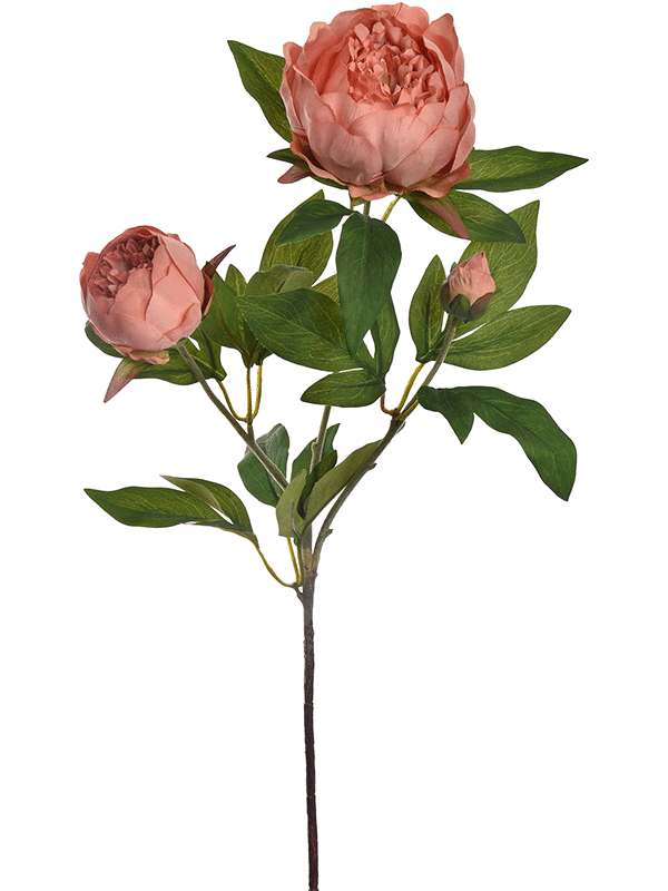 71407