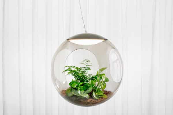 Babylone Smoke 50 cm