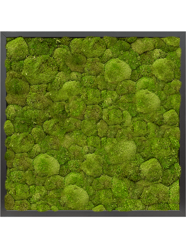 60179