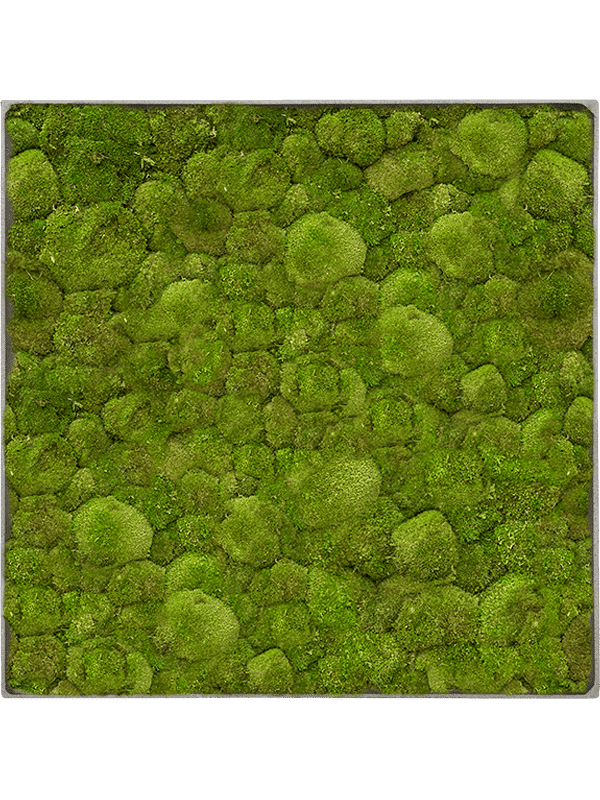 62674
