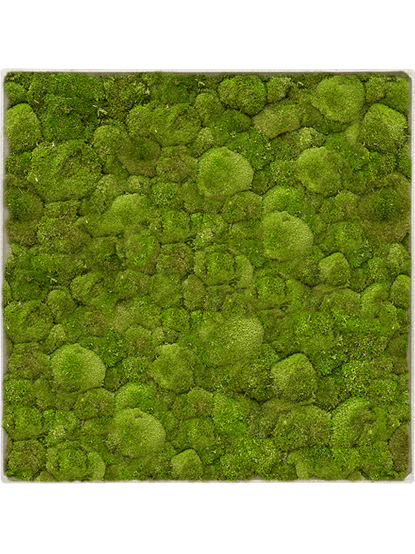 62741